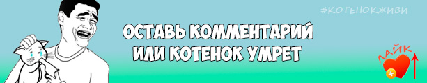 Оставь отзыв о сборке!